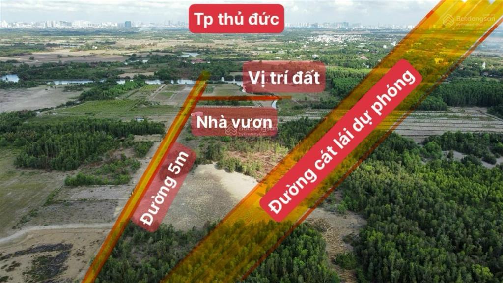 Kẹt tiền bán gấp mảnh 1.300m2 cln (2650), đường xe hơi ngay đầu xã, cách quận 2 6km, giá 2.3tr/m2
