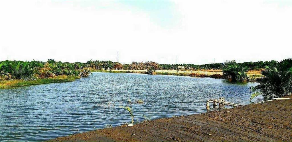 Chủ kẹt tiền trả nh cần bán 1800m2 đất biệt thự mặt sông, đường ô tô 5m, cách q2 6km, giá 4.5tr/m2