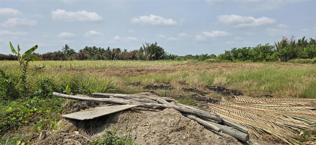 Cực hiếm 1 lô 1000m2 mặt sông lớn kế kdl the river home. cách q2  q7 5km giá 2,8 tỷ shr