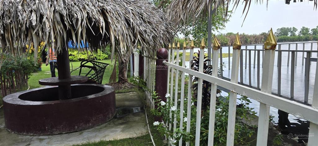 Cực hiếm 1 lô duy nhất 1000m2 mặt sông lớn kế kdl the river home. cách q2 q7 5km. giá 2.8 tỷ. shr