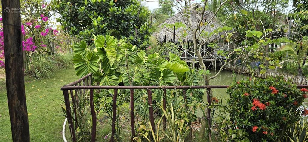 Cực hiếm 1 lô 1000m2 mặt sông lớn kế kdl the river home. cách q2  q7 5km giá 2,8 tỷ shr