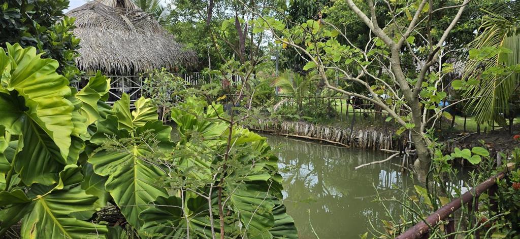 Cực hiếm 1 lô 1000m2 mặt sông lớn kế kdl the river home. cách q2  q7 5km giá 2,8 tỷ shr