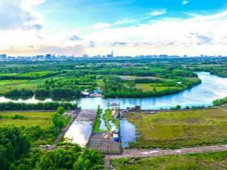 Chính chủ kẹt tiền ngân hàng cần bán 1000m2 mặt sông lớn phú đông, giá chỉ 2.3tr/m2