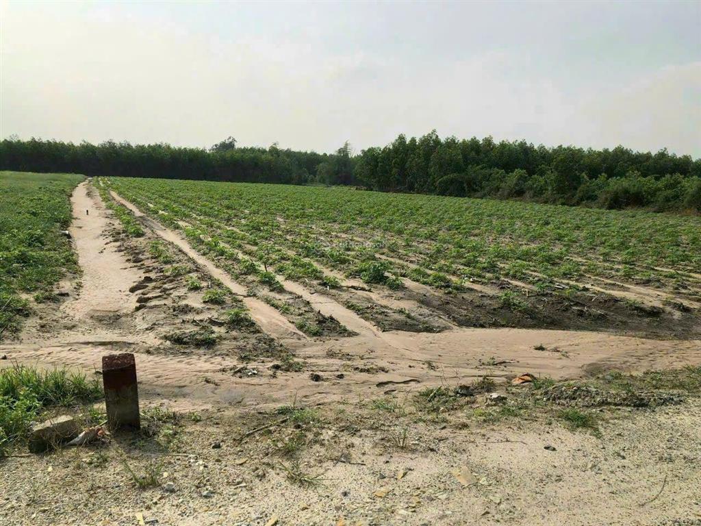 Cam kết rẻ nhất xã 2tr/m2, đường 7m. dt 2.000m2 ont, kế đường 47m. sổ riêng sang tên ngay