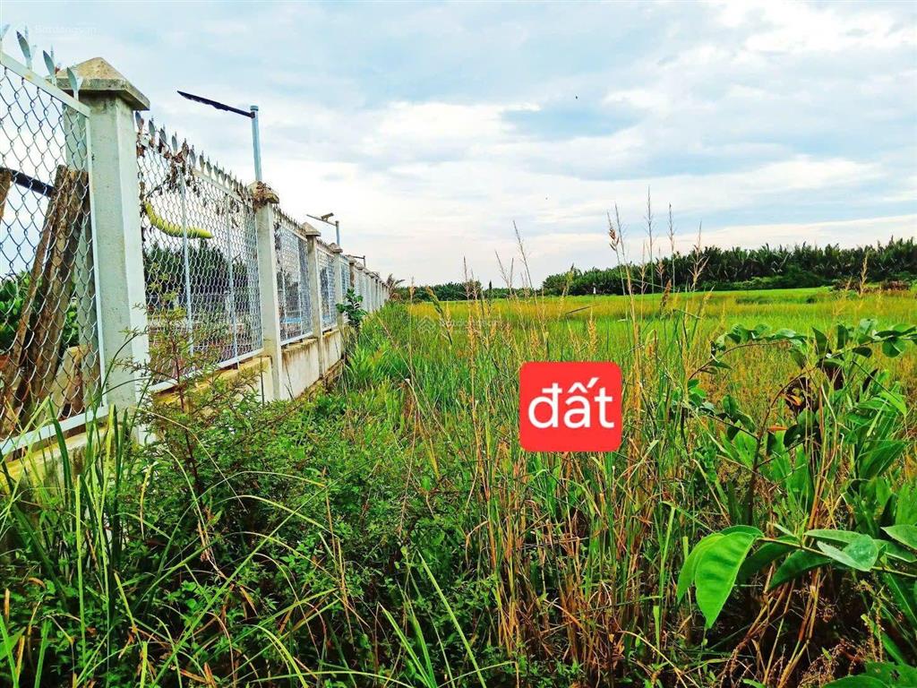 1.100m2 sát đường dẫn cầu cát lái q2. mặt tiền rạch lớn, khu nhà vườn. giá chỉ 2tr/m2, sổ riêng