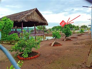 1.100m2 sát đường dẫn cầu cát lái q2. mặt tiền rạch lớn, khu nhà vườn. giá chỉ 2tr/m2, sổ riêng