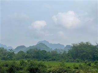 Chính chủ cần bán lô đất view cánh đồng, bám 40m đường bê tông tại phú vinh tân lạc