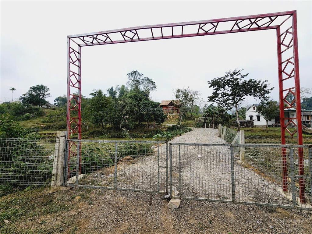Chính chủ cần bán gấp lô đất diện tích 2800m2, sẵn nhà sàn đẹp