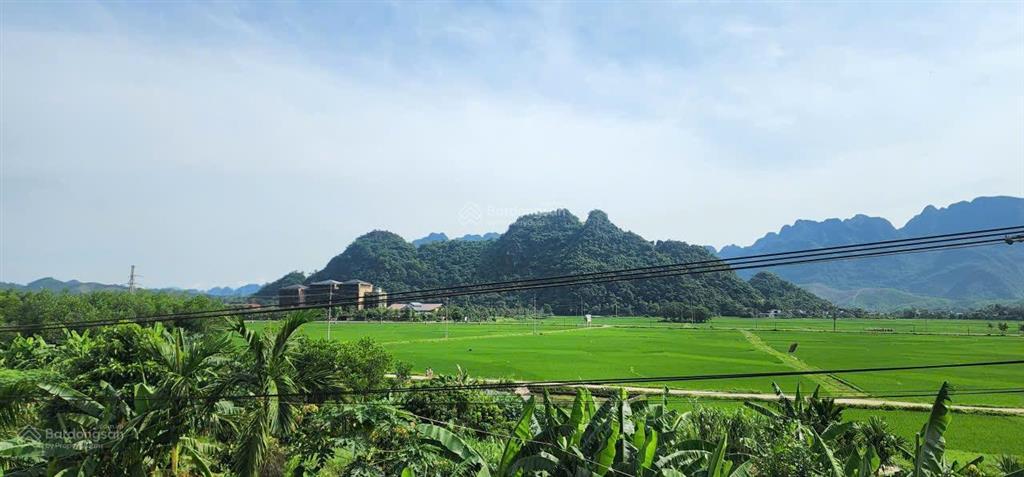 Chính chủ bán gấp lô đất suối khoáng đối diện khu nghỉ dưỡng madala, dự án vin. giá siêu rẻ!