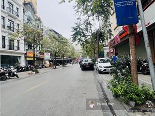 Cực vip giá đầu tư  trần thái tông, ô tô tránh, vỉa hè rộng, xây toà vp 260m2 x mt 10 530tr/m2