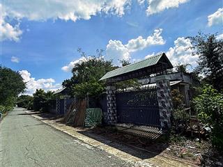 Đất tặng nhà phố siêu rẻ thái mỹ, củ chi chỉ 9.9 tỷ! có 300m2 thổ cư + nhà sẵn sổ hồng chính chủ