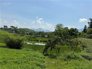 Em bán lô đất nghỉ dưỡng view đồi chè đẹp nhất nhì khu du lịch long cốc  tân sơn  phú thọ