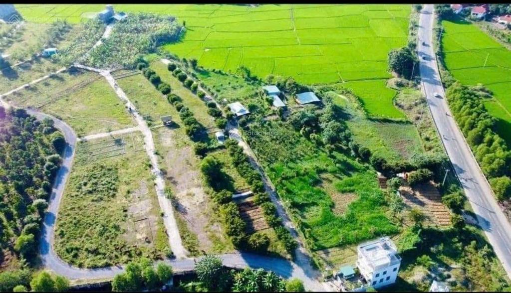 Bán đất diên hoà, diên khánh. sát cụm công nghiệp diên thọ vcn đang triển khai.