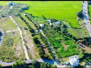 Bán đất diên hòa, diên khánh. sát cụm công nghiệp diên thọ vcn đang triển khai