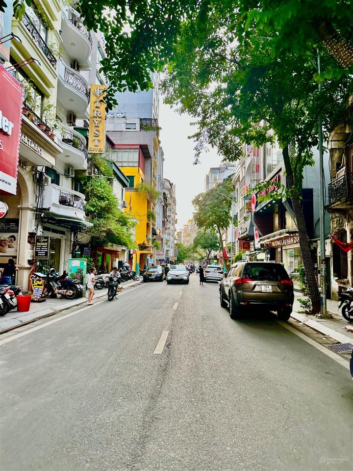 Cần bán nhà mặt phố nguyễn trường tộ, quận ba đình. dt 50m2 x 6t, mt 4,1m. vị trí đẹp, kd sầm uất