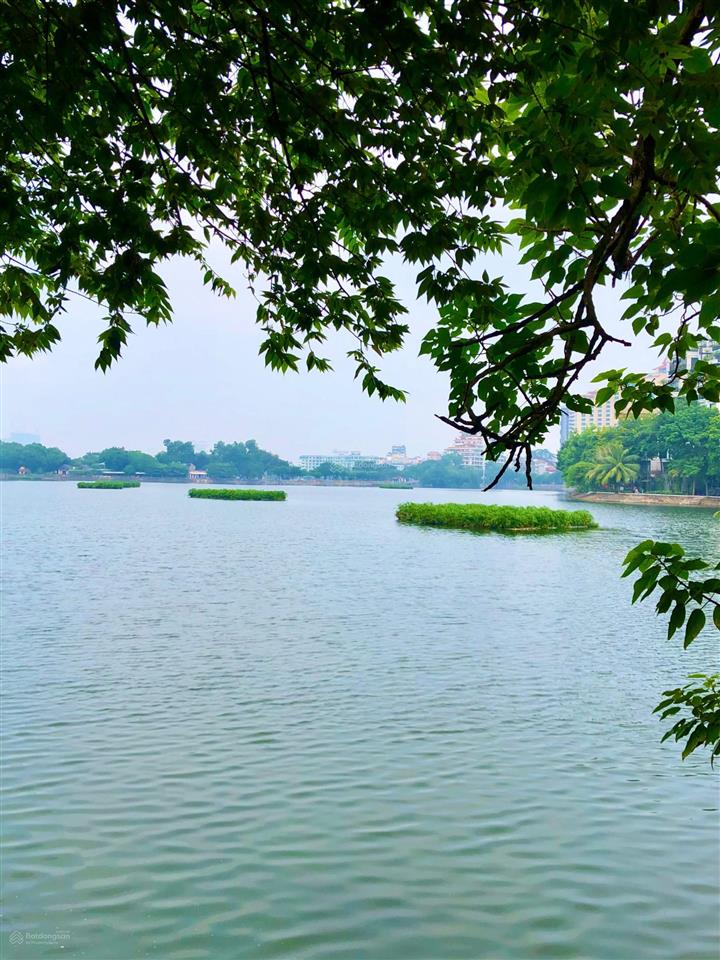 Cần bán nhà mặt phố nguyễn trường tộ, quận ba đình. dt 50m2 x 6t, mt 4,1m. vị trí đẹp, kd sầm uất