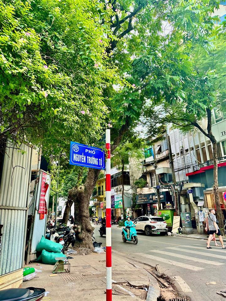 Cần bán nhà mặt phố nguyễn trường tộ, quận ba đình. dt 50m2 x 6t, mt 4,1m. vị trí đẹp, kd sầm uất