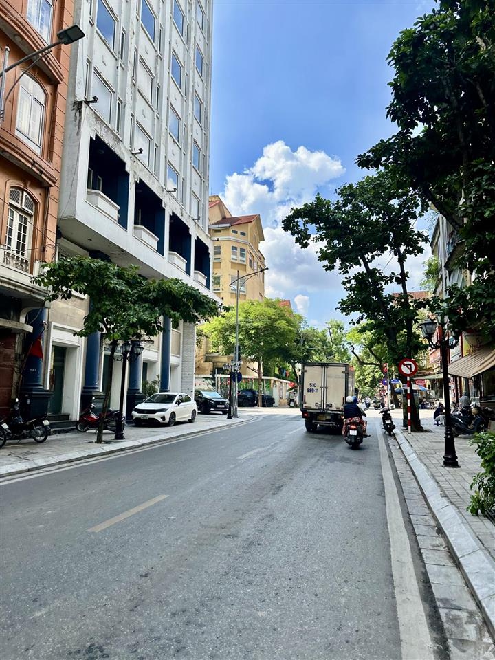 Cần bán nhà mặt phố nguyễn trường tộ, ba đình. dt sổ 115m2 x 9t, mt 6m. kd thương mại sầm uất