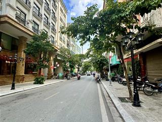 Cần bán nhà mặt phố nguyễn trường tộ, ba đình. dt sổ 115m2 x 9t, mt 6m. kd thương mại sầm uất