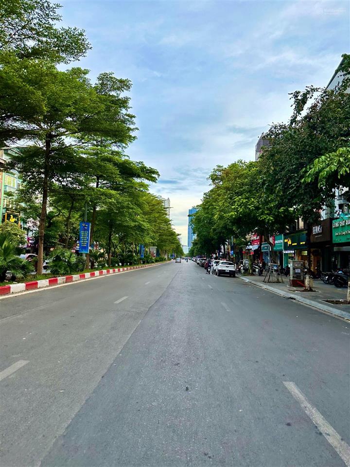 Cần bán nhà mặt phố trần thái tông, quận cầu giấy. dt sổ 150m2 x 4t, mt 7m. vị trí đẹp  kd sầm uất
