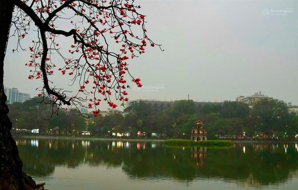 Cần bán nhà phố phan chu trinh, hoàn kiếm. dt sổ 55m2 x 9t, mt 4,2m. thang máy  cách mp đúng 30m