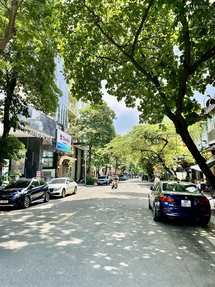 Cần bán nhà mặt phố tràng thi, hoàn kiếm dt 55m2 x 7t, mt 5m. thang máy, vị trí đoạn đẹp sầm uất