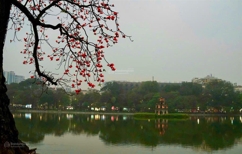 Cần bán nhà mặt phố mã mây, hoàn kiếm. dt 230m2 x 8t, mt 7,5m. vị trí đẹp nhất phố, kd sầm uất