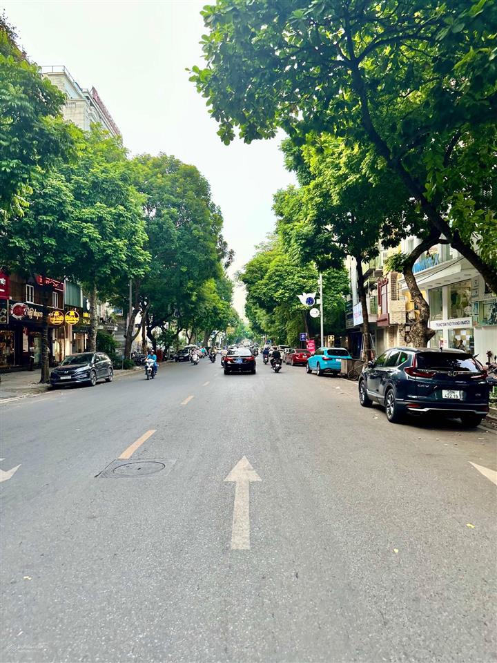 Cần bán nhà mặt phố trần hưng đạo, hoàn kiếm dt sổ 780m2 x mt 30m. vị trí đẹp nhất phố, vỉa hè rộng