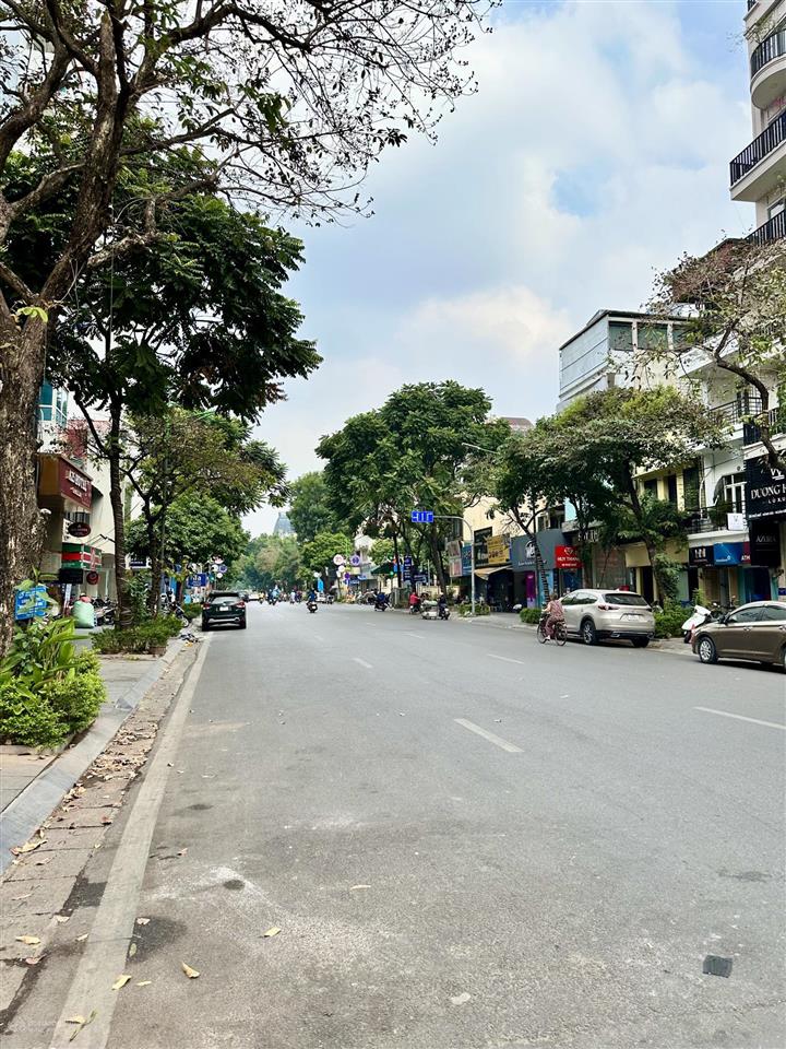 Cần bán nhà mặt phố nguyễn thái học, quận ba đình. dt sổ đỏ 650m2 x mt 20m. vị trí đẹp nhất phố