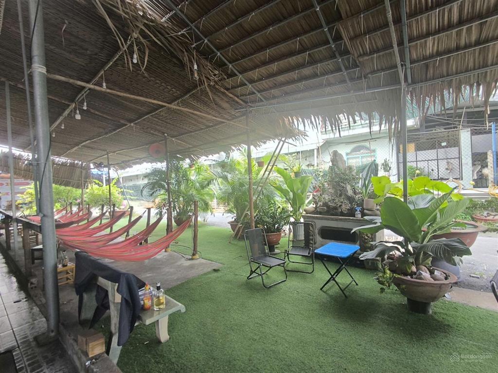 Nhà vườn 1004m2, khu đất vàng, full thổ, ngang 21m  hóc môn  giáp quận 12