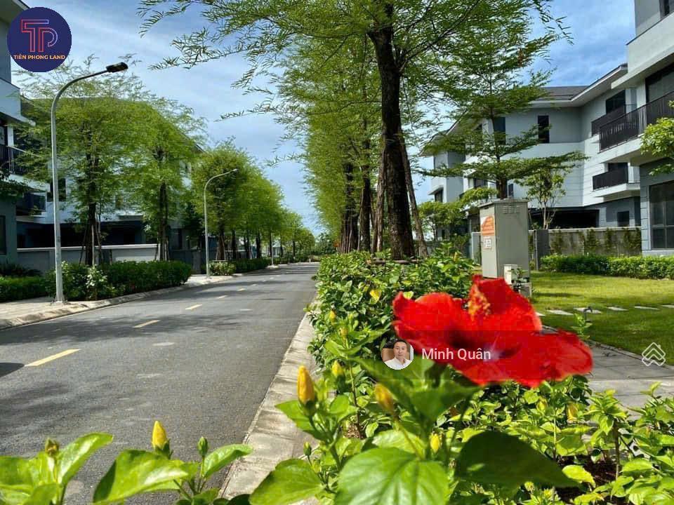 Bảng hàng liền kề 100  145m2 tại splendora an khánh. sổ đỏ sẵn sàng, giá cạnh tranh nhất khu vực