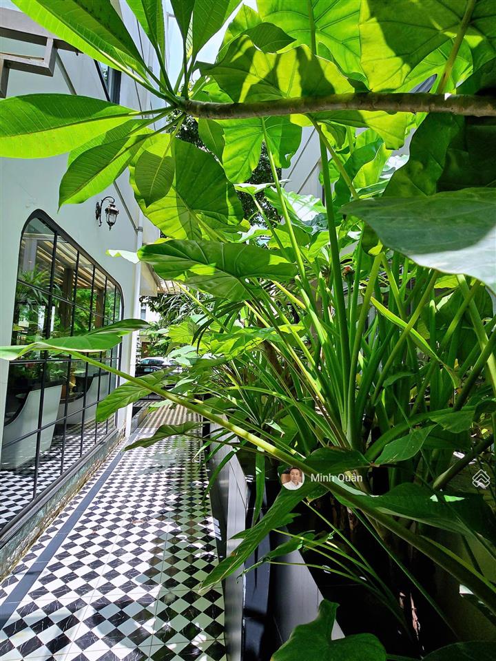 Chính chủ bán nhà long phú sổ đỏ sẵn 130m² nhà đẹp, full nội thất cao cấp giá 28 tỷ