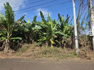 Chủ gửi cần bán mặt tiền đường lê thị hồng gấm, long đất, bà rịa vũng tàu