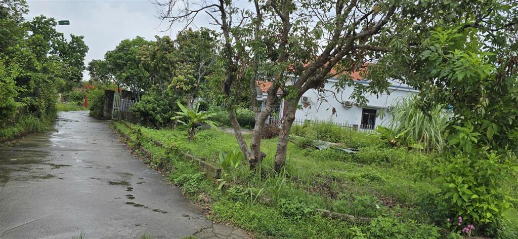 Bán đất tại cẩm hải, cẩm phả, quảng ninh, giá thỏa thuận, 250m2, giá đầu tư