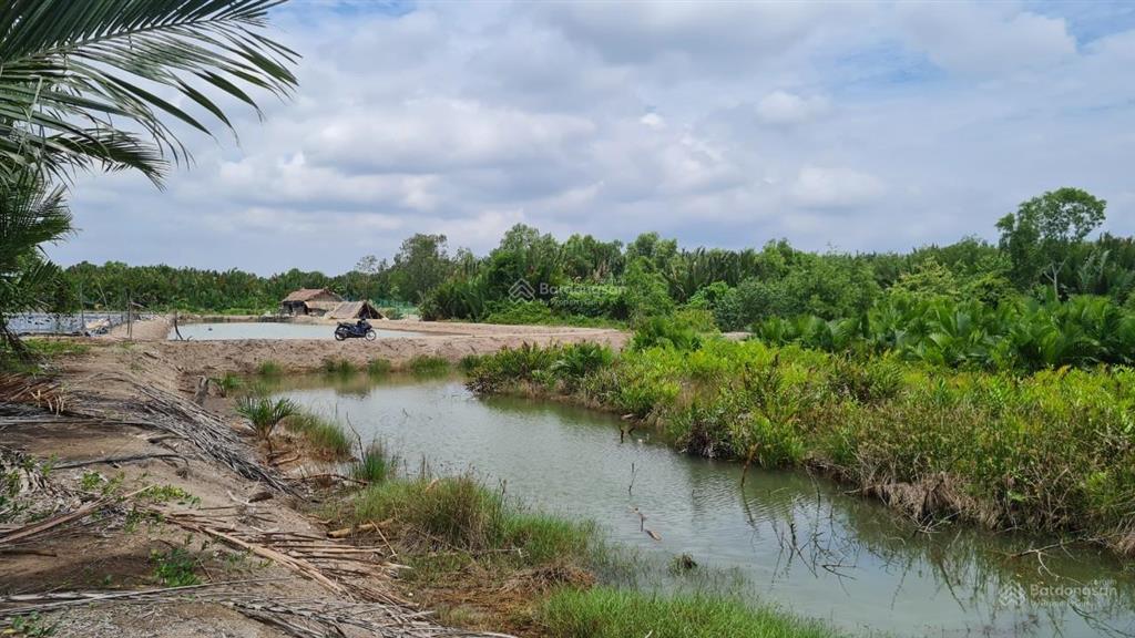 Chuyên giới thiệu đất nông nghiệp khu vực hiệp phước, nhà bè giá từ 1.25tr/m2