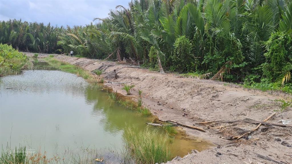 Chuyên giới thiệu đất nông nghiệp khu vực hiệp phước, nhà bè giá từ 1.25tr/m2