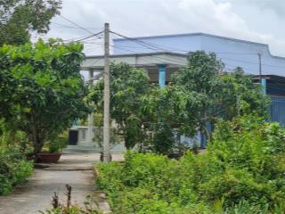 Siêu phẩm đất 1500m² thổ cư 100% có nhà cấp 4 chỉ 10 tỷ