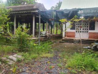 Bán đất vườn 2.800m2 mặt tiền đường 12m & mặt tiền sông long thới, nhà bè