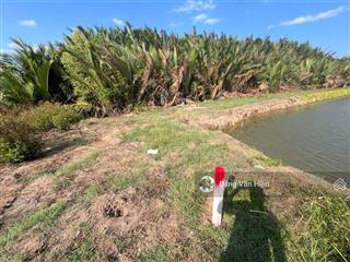 Bán 12408m2 đất nông nghiệp xã hiệp phước, thuộc tờ bản đồ 55 (mới)  23(cũ)