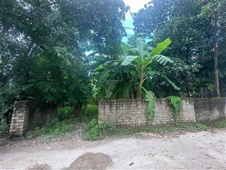 100m2 full thổ, mặt tiền 6m cách trục chính đồng trạng 30m ql21 3 phút giá hời