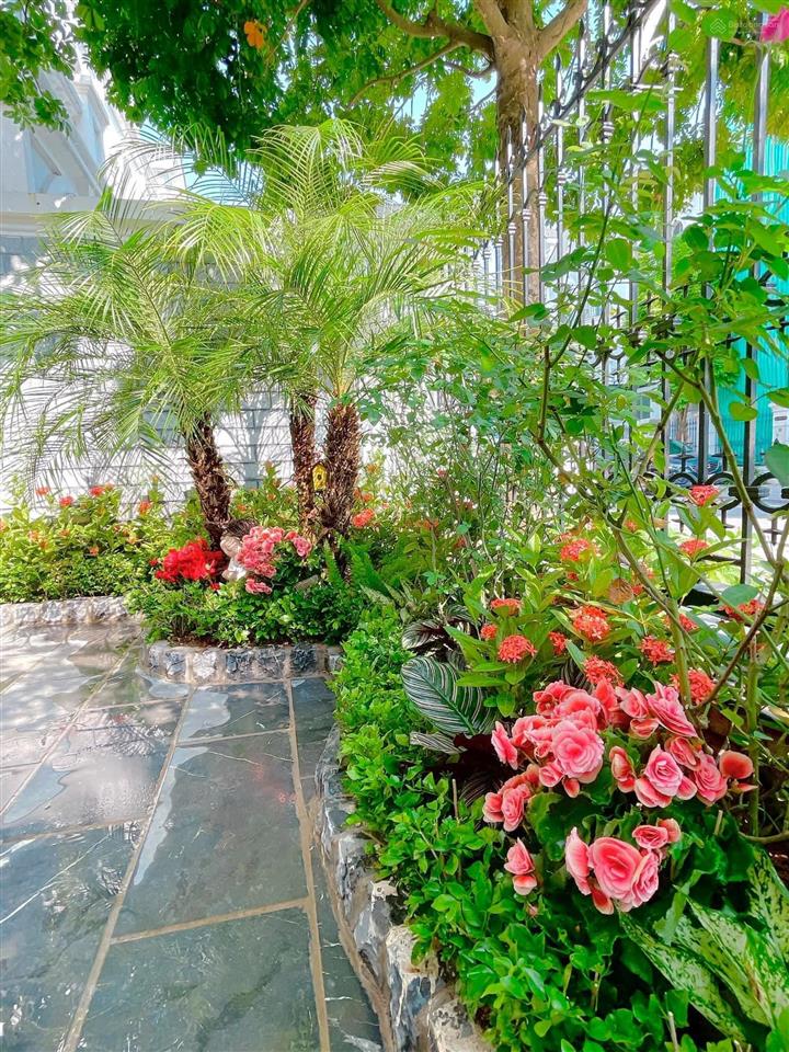 Chính chủ cho thuê căn biệt thự song lập 220m2 kđt starlake cam kết giá thật  tốt nhất thị trường