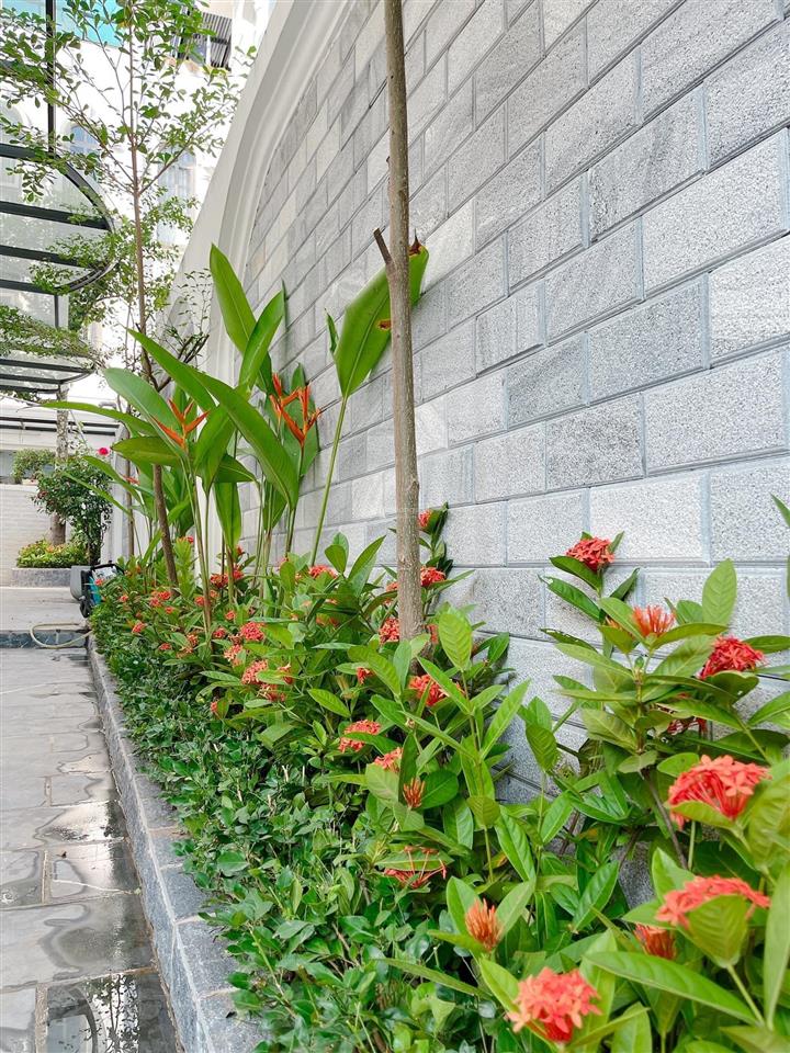 Chính chủ cho thuê căn biệt thự song lập 220m2 kđt starlake cam kết giá thật  tốt nhất thị trường