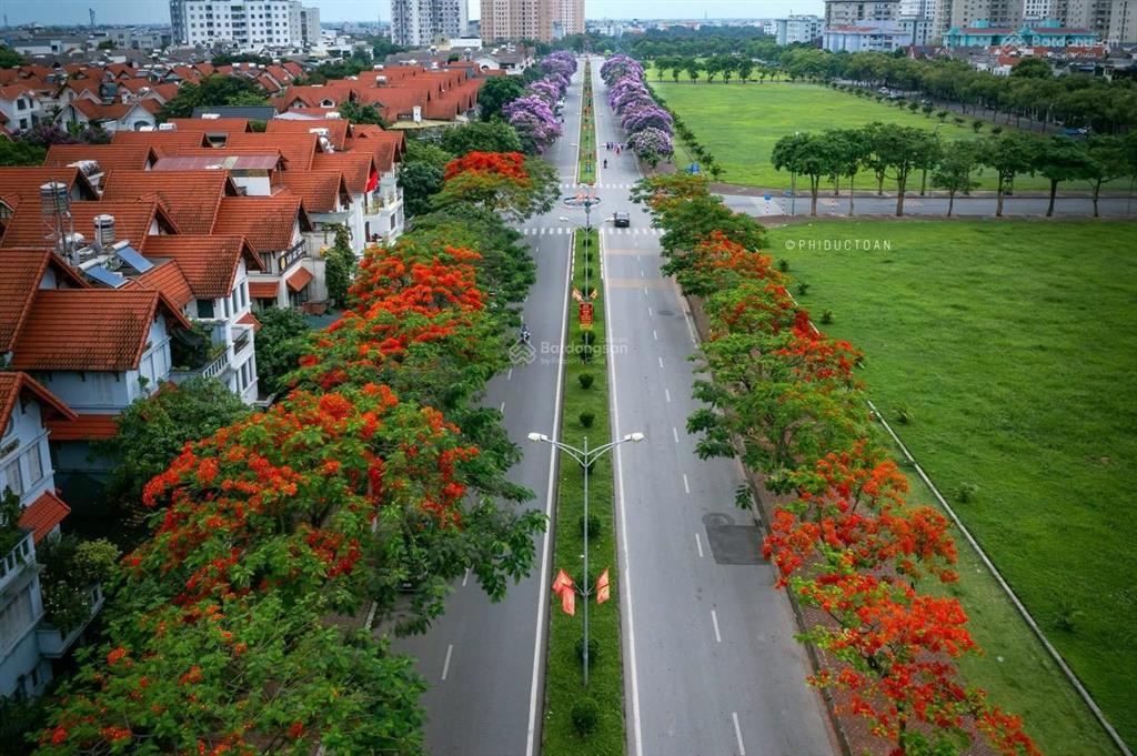 Bán biệt thự việt hưng, phố lưu khánh đàm. kinh doanh, cho thuê 40tr
