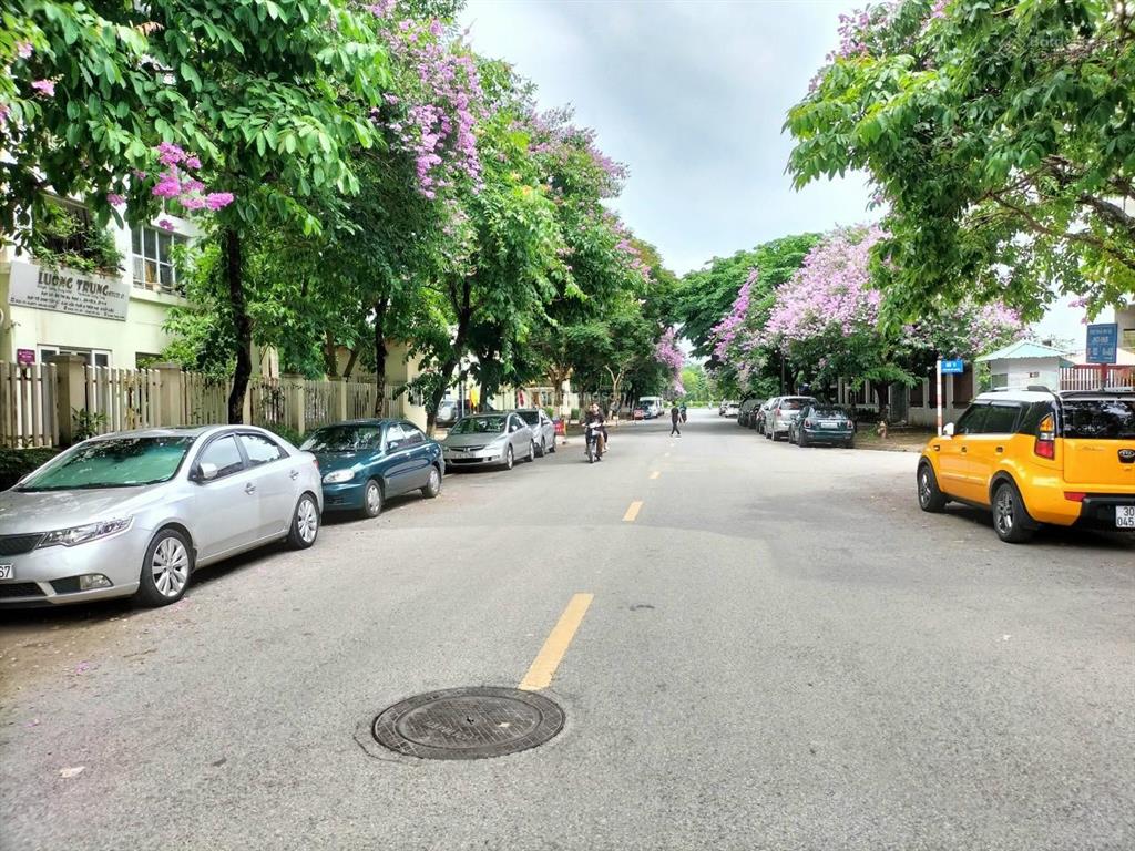 Bán biệt thự việt hưng, phố lưu khánh đàm. kinh doanh, cho thuê 40tr