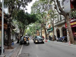 Cực hiếm, bán đất tặng nhà mặt phố trung tâm quận hai bà trưng, nút giao tô hiến thành, bà triệu