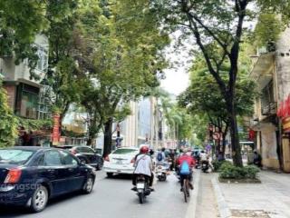 Gia đình cần bán gấp nhà mặt phố bà triệu, trung tâm quận hai bà trưng, gần trung tâm hồ hoàn kiếm
