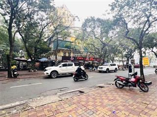 Cực kỳ hiếm,biệt thự dân xây phố trần huy liệu,giảng võ,ba bước ra hồ,công viên,sát vinhomes galler