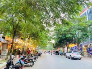 Cần bán nhanh mảnh đất phân lô hoàng mai,hoàng liệt,linh đàm,oto tránh đỗ ,vỉa hè