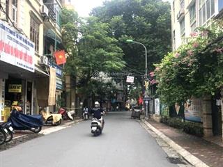 Cần bán gấp nhà mặt phố trung tâm quận hai bà, lò đúc, p. phạm đình hổ ôtô tránh vỉa hè kinh doanh