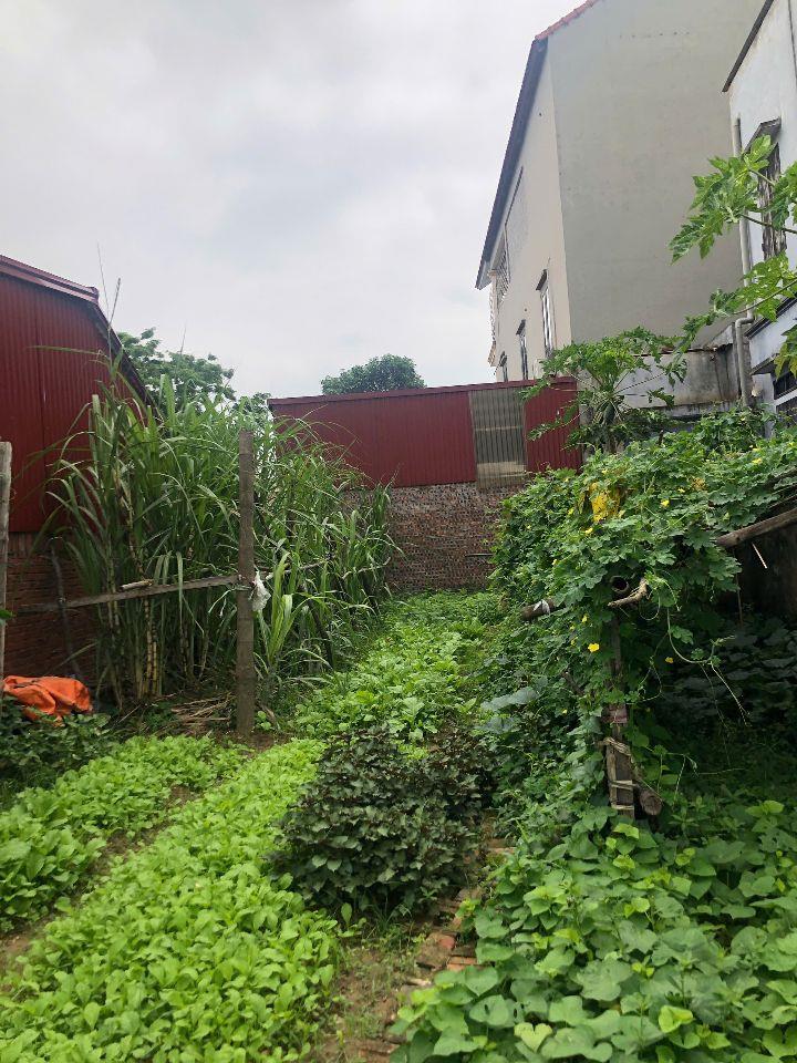 GIÁ 4.2 TỶ, VIEW CÁNH ĐỒNG, ĐỐI DIỆN HỒNG HẠC CITY-PHÚ MỸ HƯNG, 105M2 ĐƯỜNG 6M Ô TÔ TRÁNH